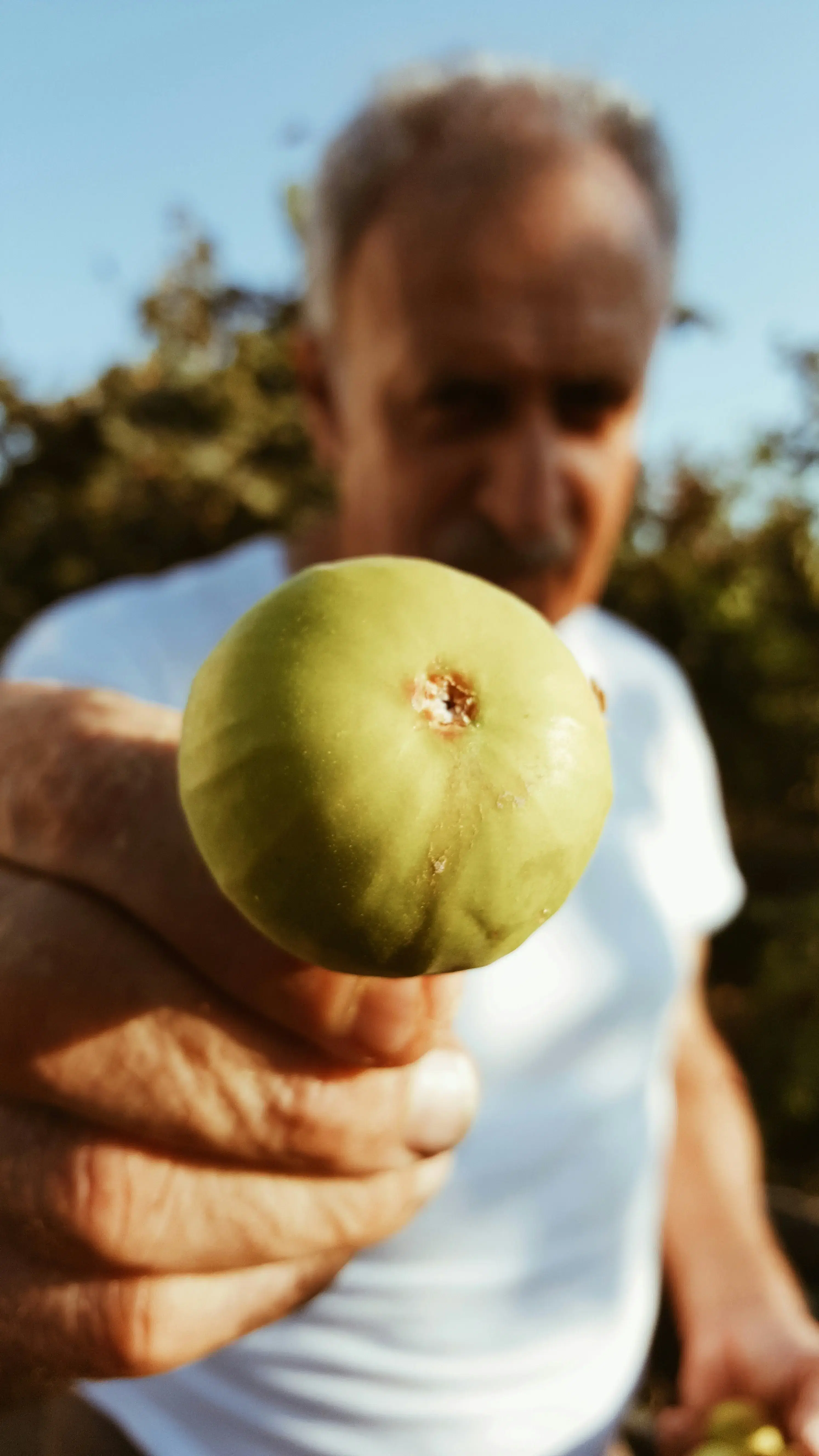 Picture of Father Holding Fruit